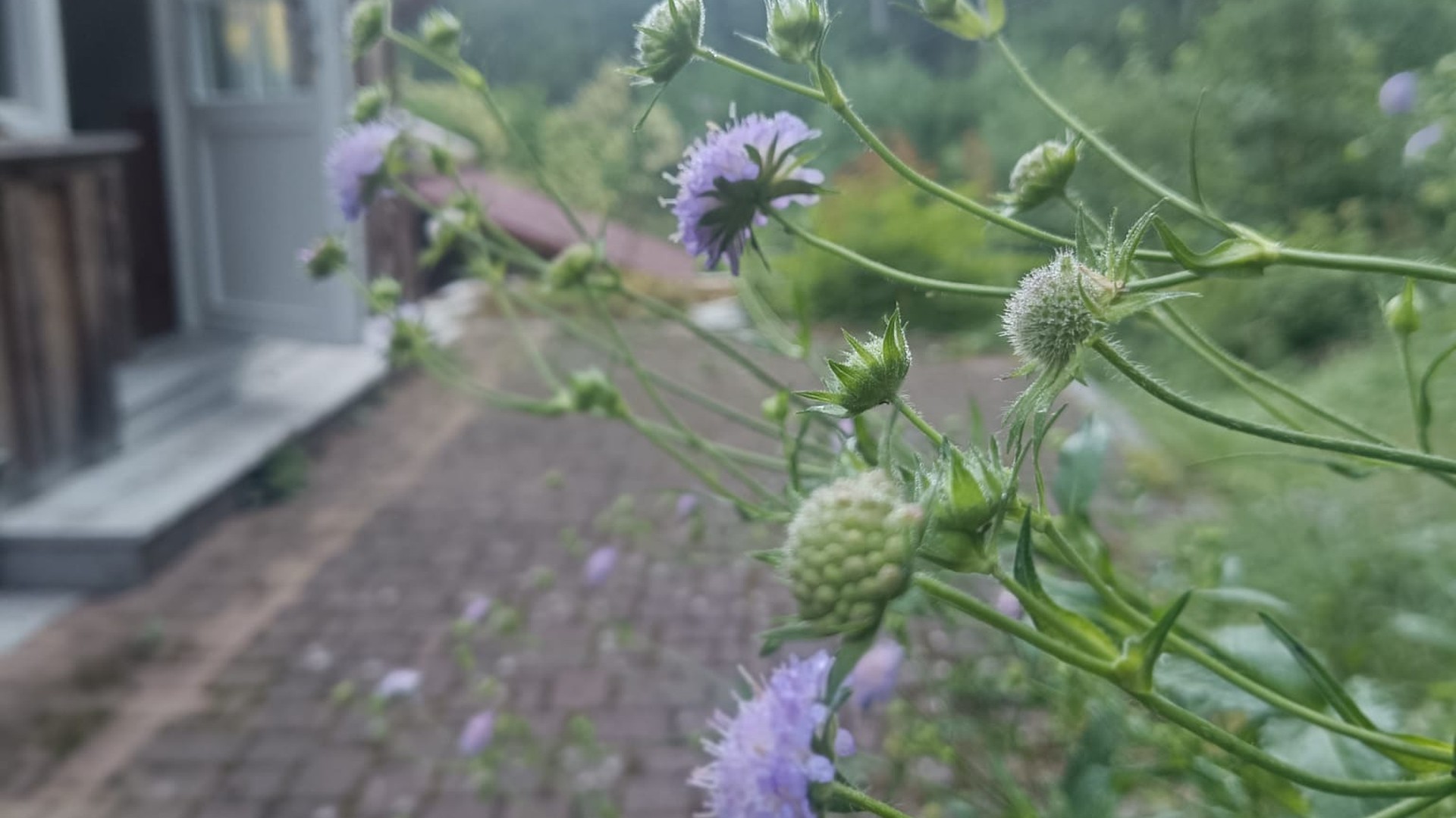 Transpersonal blog cover