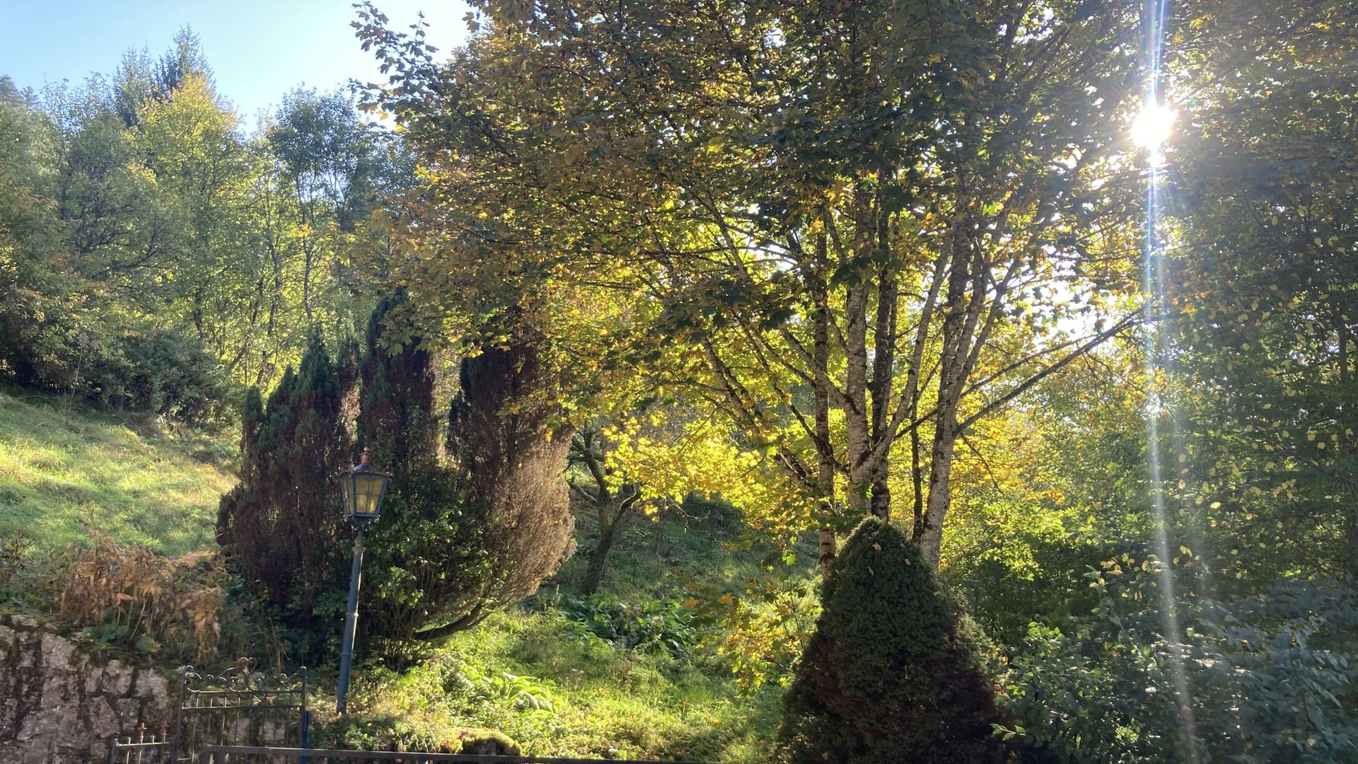Autumn light through the trees above the terrace at the Black Forest seminar house
