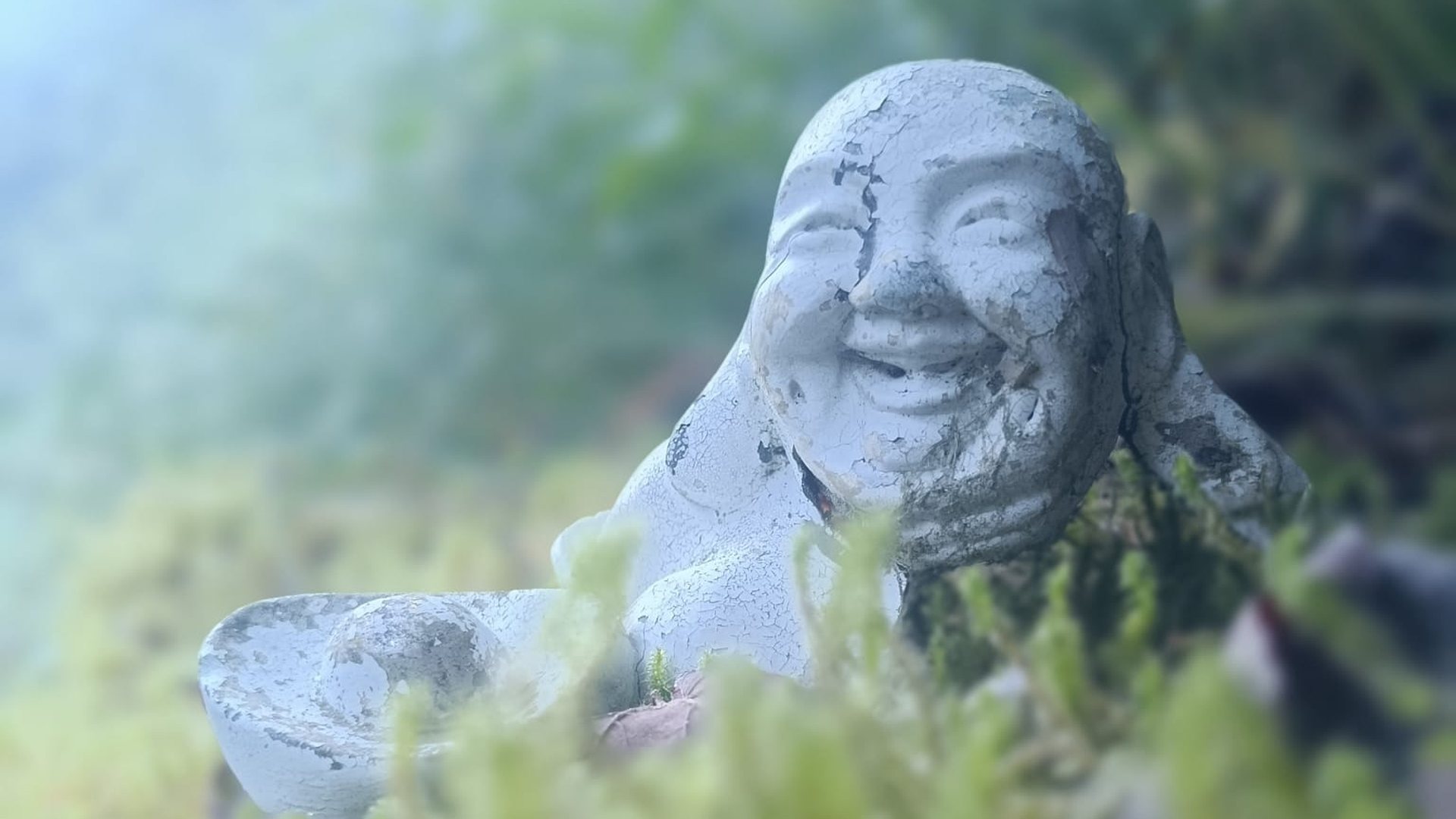 A weathered stone Buddha resting among the garden greenery