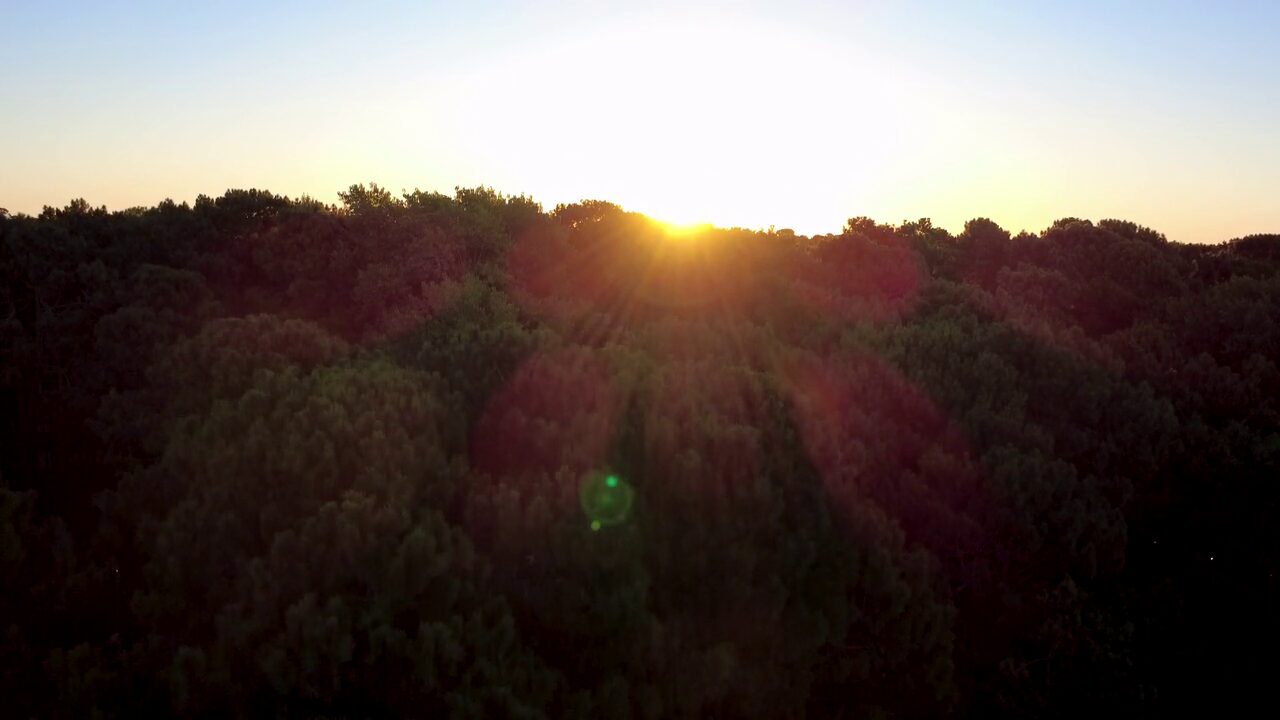 The sun setting over woodland, seen from the air