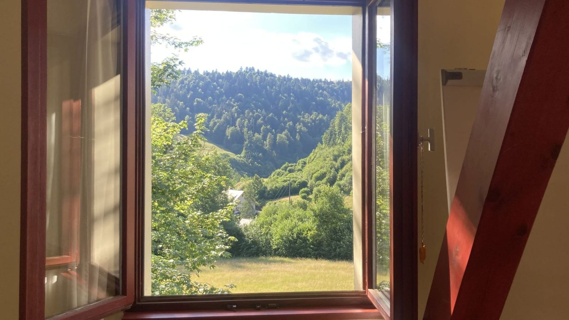 Open window looking onto the forest