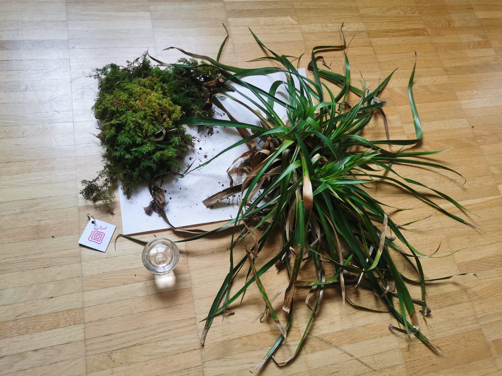 Moss, grasses and a candle gathered for a grounding exercise