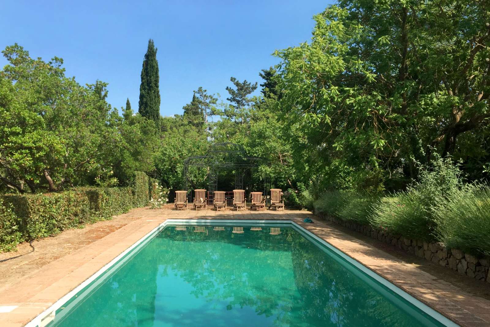 The estate swimming pool surrounded by greenery