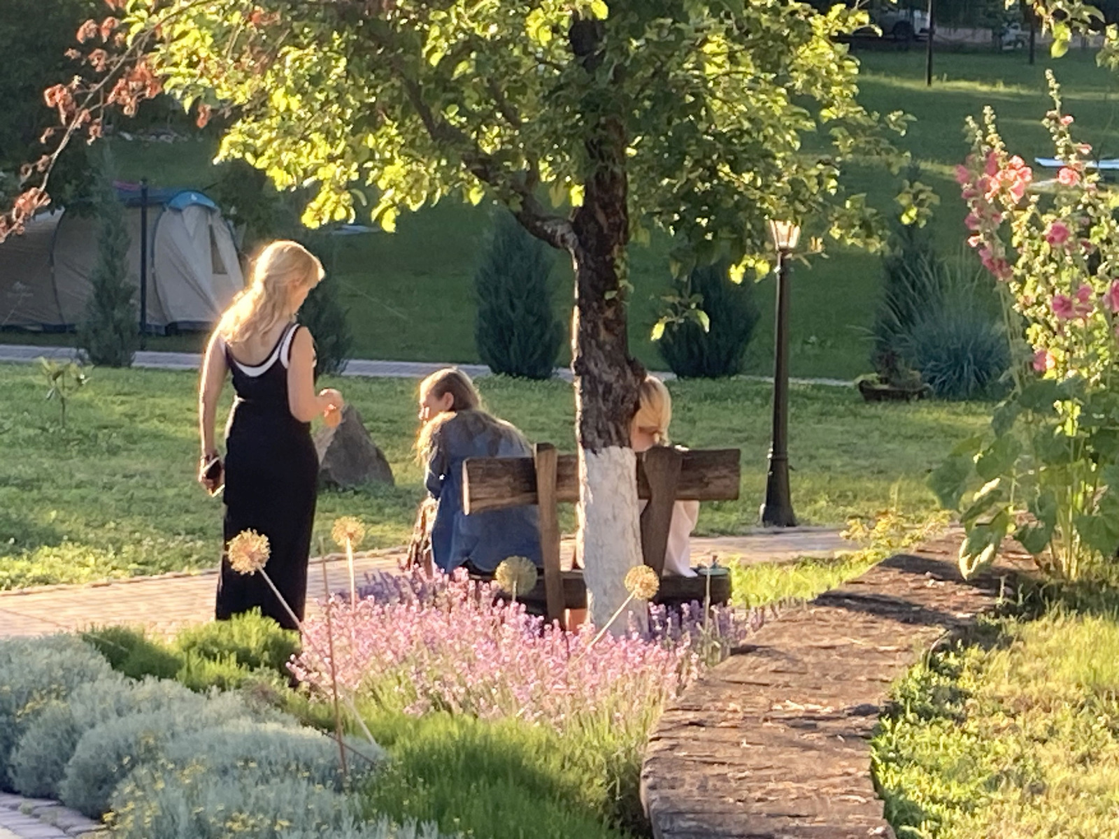 Participants walking through the garden past a lavender bed and seminar tents in Moldova