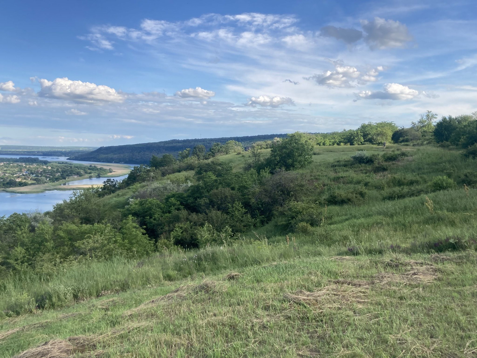 A panoramic view over the Dniester river bend from the hillside