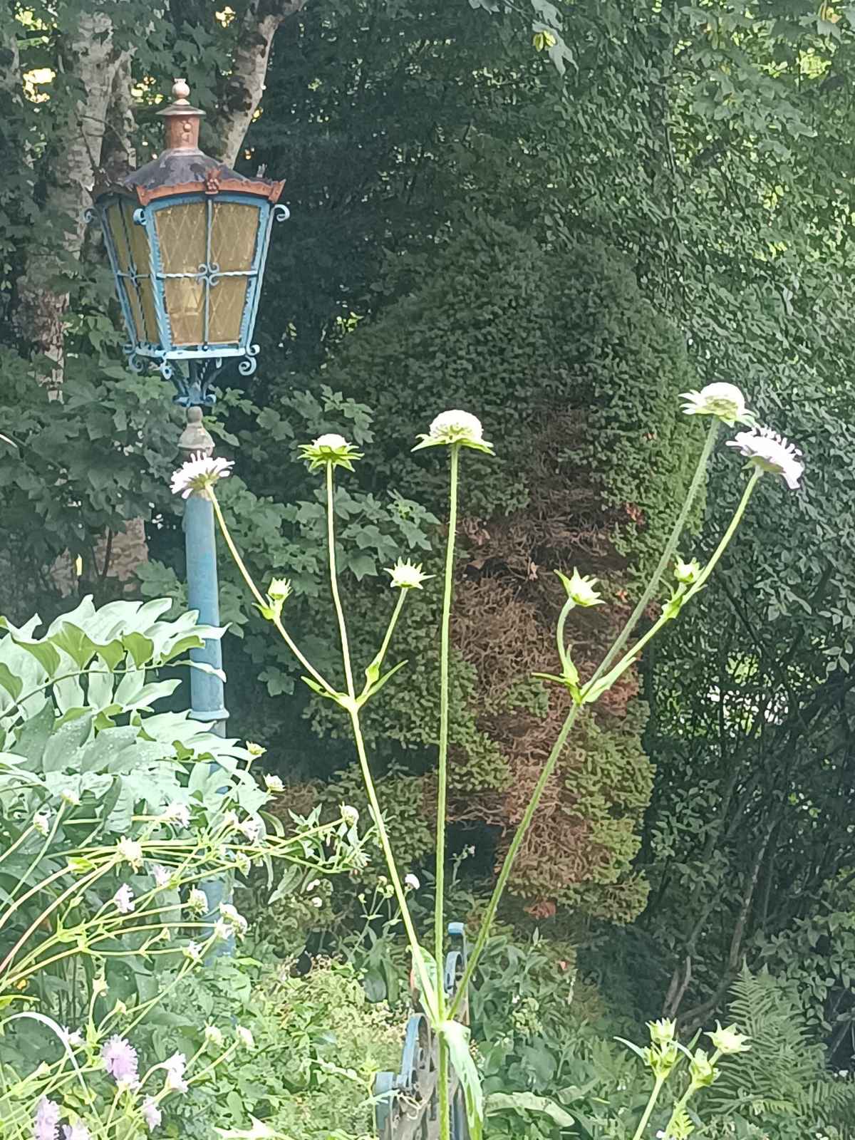 A lantern in the garden at dusk