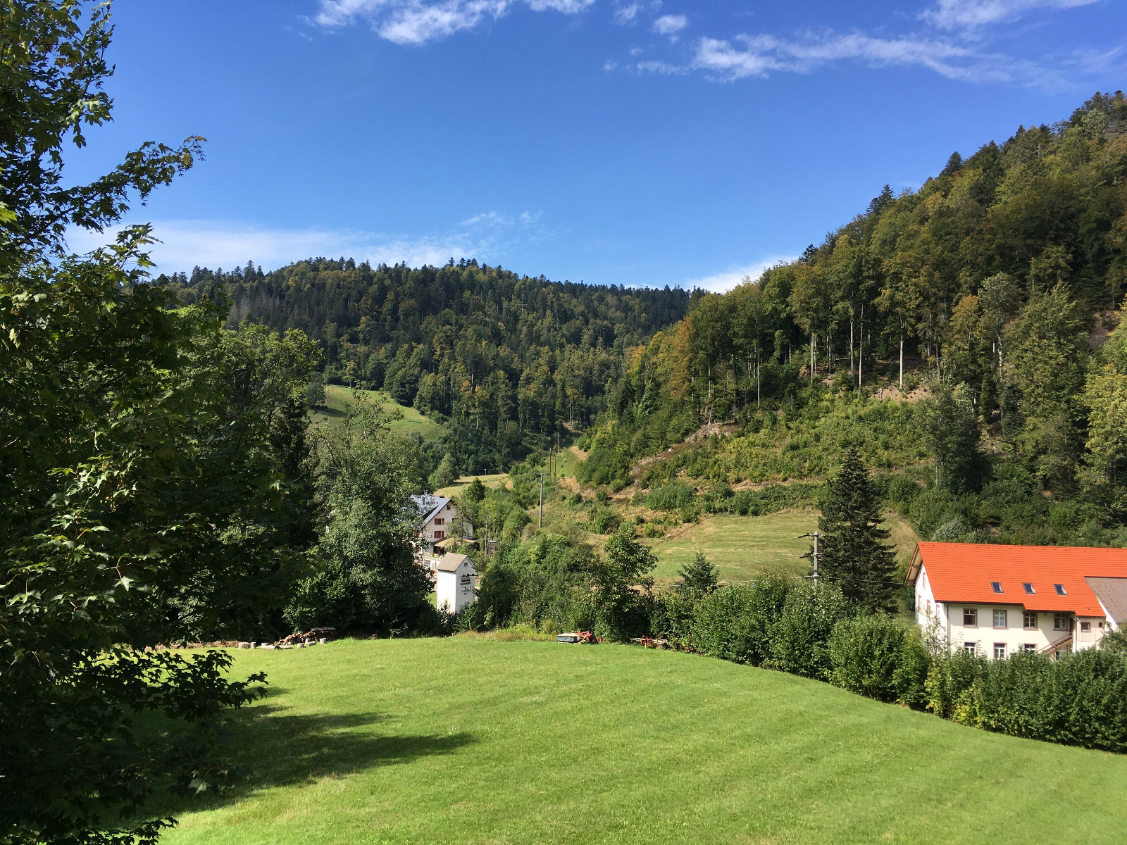 The green Black Forest valley around the house in summer