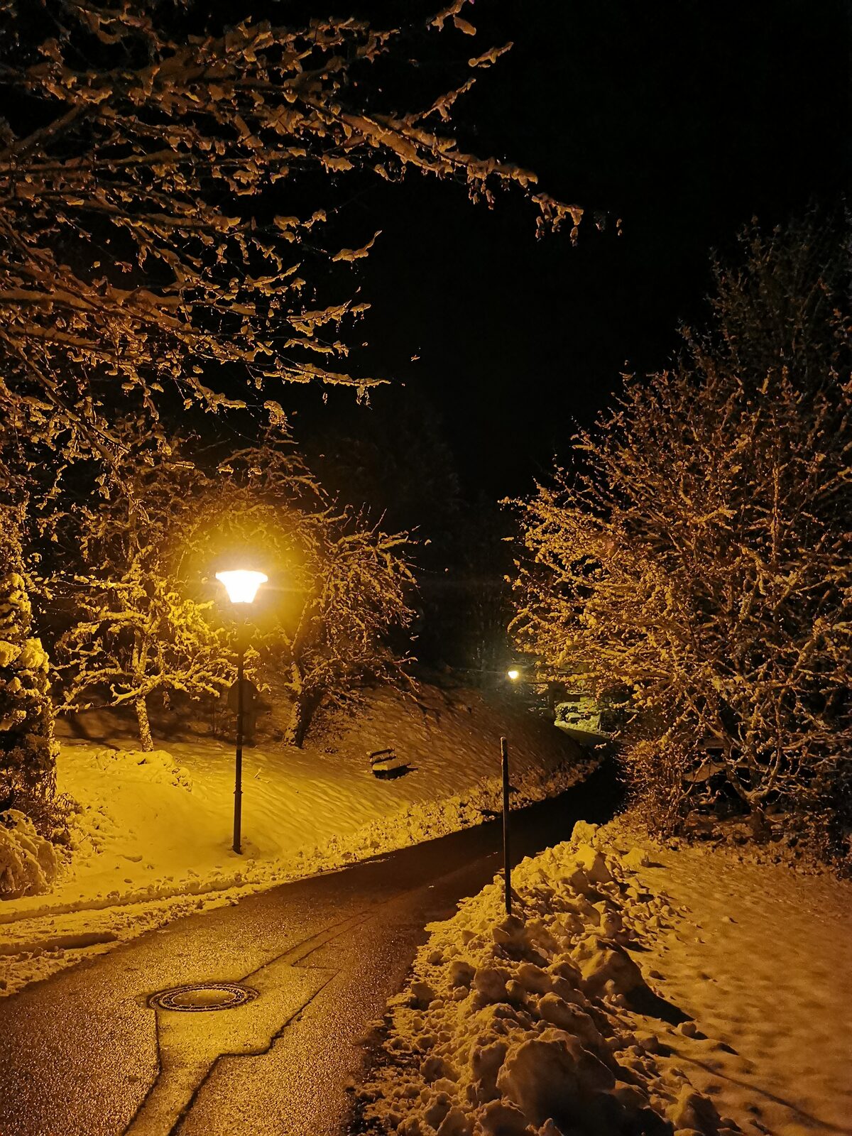 A street lamp glowing over fresh snow outside the seminar house