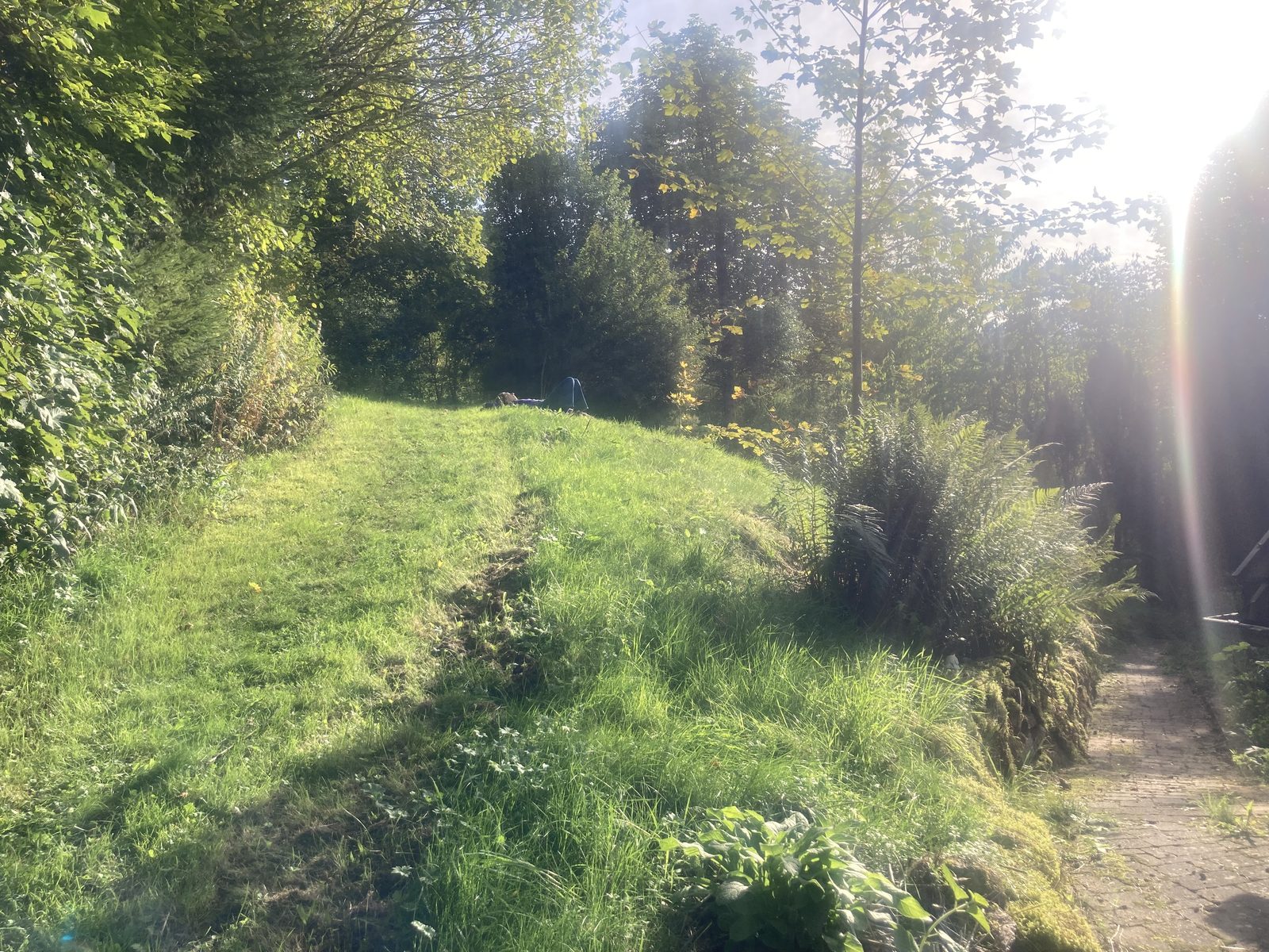 A sunlit meadow path behind the seminar house