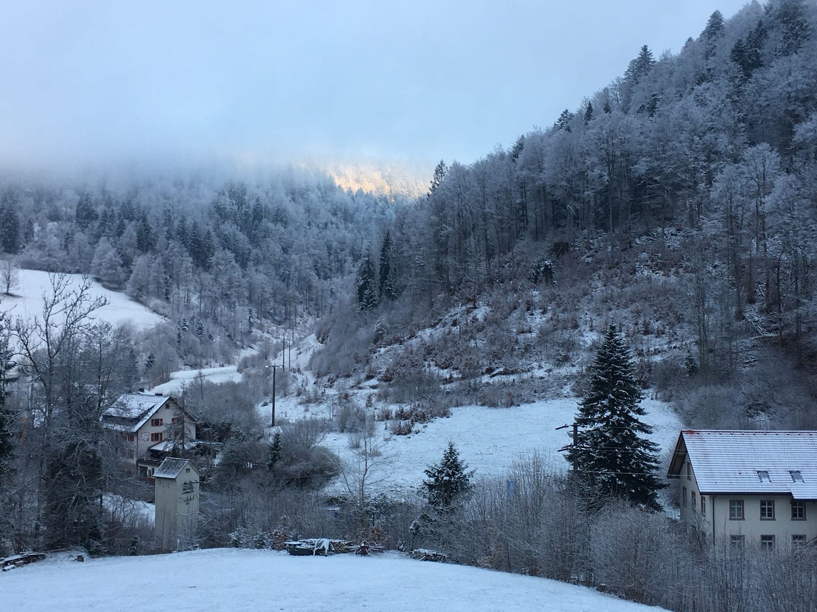 The Black Forest valley under snow at dusk