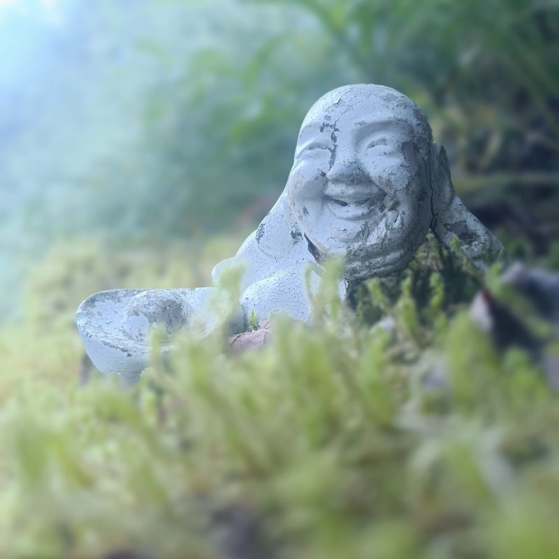 A weathered stone laughing Buddha statue half-hidden among soft green garden foliage